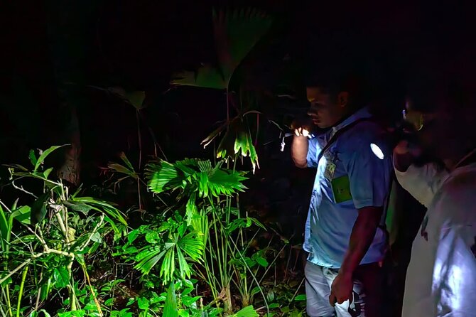 Private Night Adventure in Manzanillo Refuge - Key Points