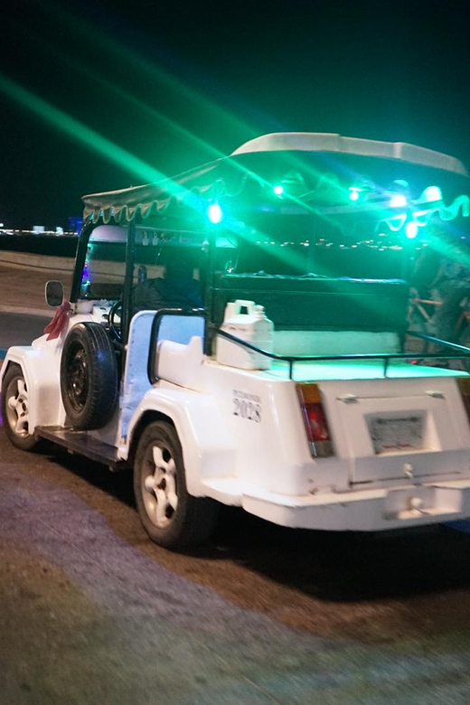 Private Night Adventure in Mazatlan - Pickup Information