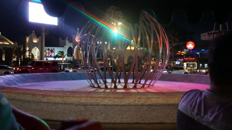 Private Night Adventure in Mazatlan - Language and Accessibility