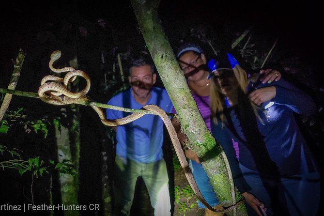 Private Night Hike In The Woods - Key Points