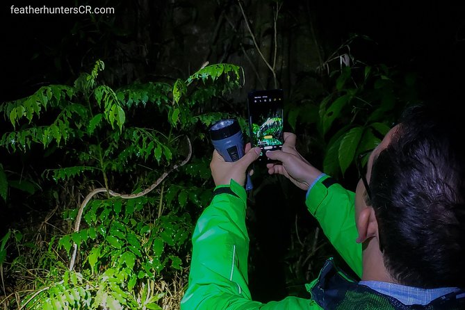 Private Night Hike In The Woods - Meeting and Pickup Options