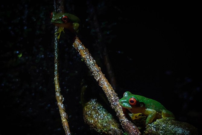 Private Night Hike In The Woods - Highlights From Reviews