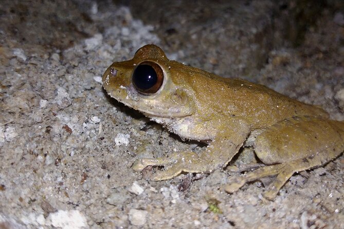 Private Night Observation Hike - Prepare for the Adventure