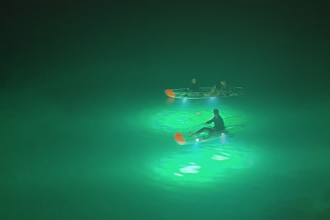 Private Night Tour in Blue Cave on a Clear-Bottom Kayak - About Your Stay