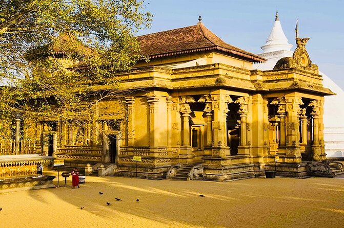 Private Night Tour in Colombo With Street Food Tasting - Navigating the Bustling City Streets