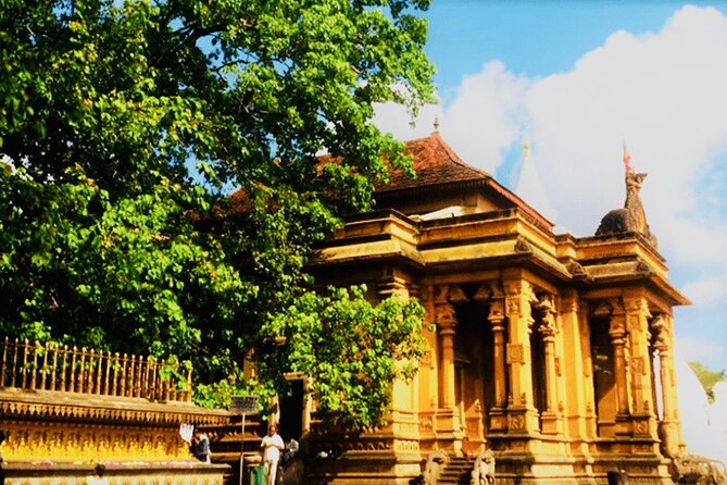 Private Night Tour in Colombo With Street Food Tasting - Customizing Your Night Tour Experience