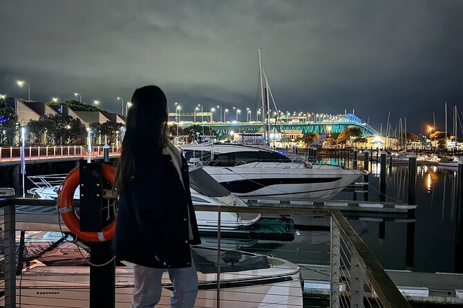 Private Night Tour of Auckland, Sky Tower Bar, Bridge & Museum - A Closer Look at the Auckland Night Tour