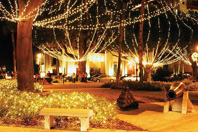 Private Nights Of Lights Tour - Logistics and Accessibility