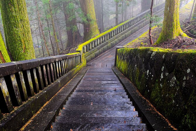 Private Nikko Sightseeing Tour With English Speaking Chauffeur - Flexible Itinerary