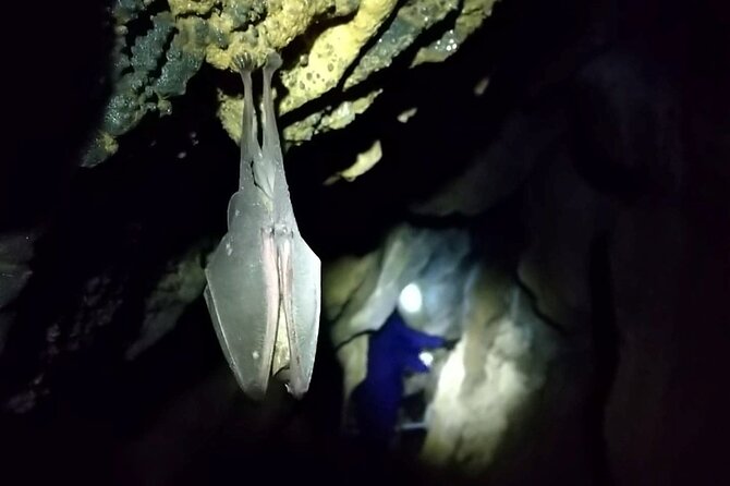 Private Ninja Training in a Cave in Hidaka - Cycling and Caving Gear