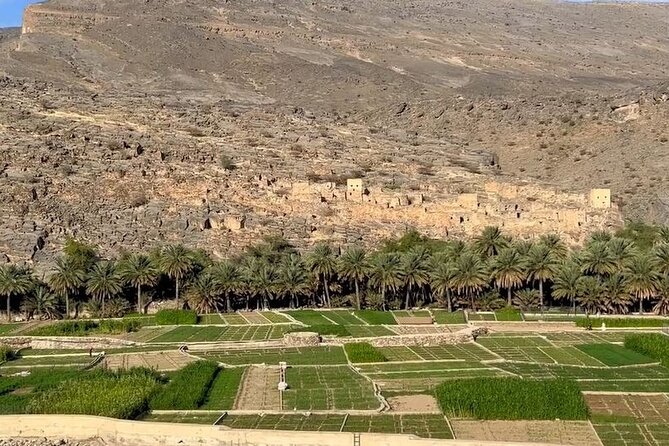 Private Nizwa - Al Hamra Old Village - Misfah Al Arbyeen - Full Day Tour - Visiting Nizwa