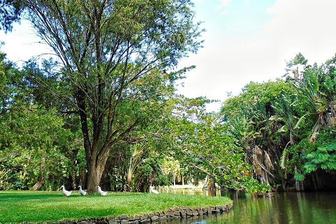 Private North Day Tour: Botanical Garden, Sugar Museum, Rum Tasting, Port Louis - Additional Information