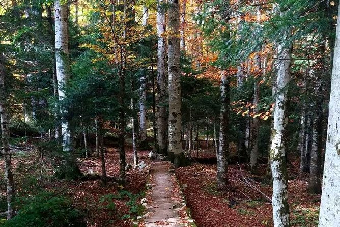 Private North Montenegro Tour -Moraca River Canyon and Walk Trough Virgin Forest - Visiting Moraca Monastery