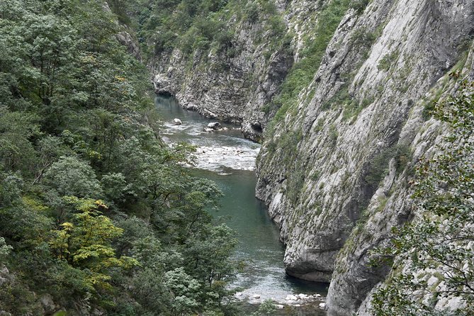 Private North Montenegro Tour -Moraca River Canyon and Walk Trough Virgin Forest - Convenient Pickup Locations