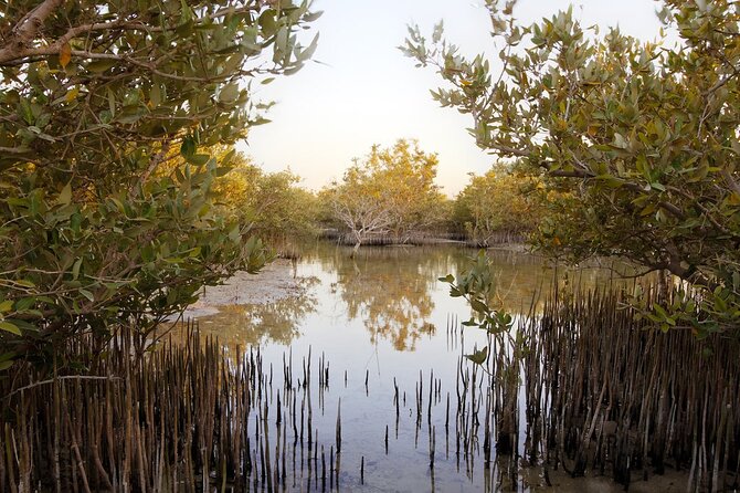 Private North of Qatar: Zubara Fort | Jumail Village | Al-Thakhira Mangroves - Discovering Jumail Village