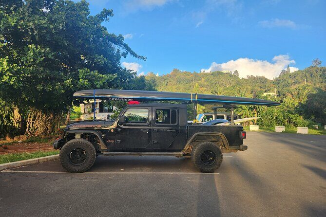 Private North Shore Hawaiian outrigger Canoe and turtle adventure - Analyzing the Value