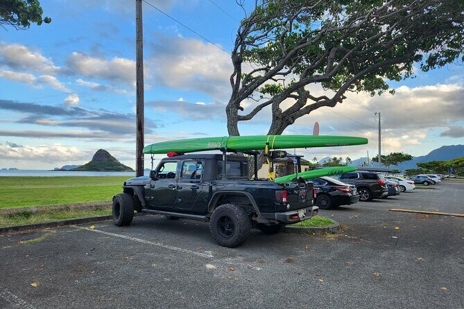 Private North Shore Hawaiian outrigger Canoe and turtle adventure - Final Thoughts: Who Is This Tour Best For?
