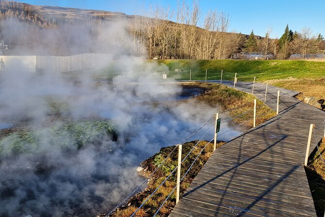 Private Northern Lights Adventure With Secret Lagoon and Dinner - Tour Overview