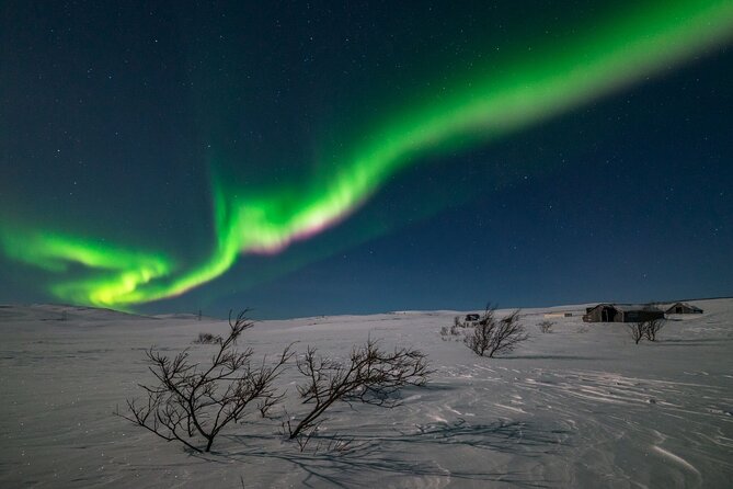 Private Northern Lights Hunt - Cancellation Policy