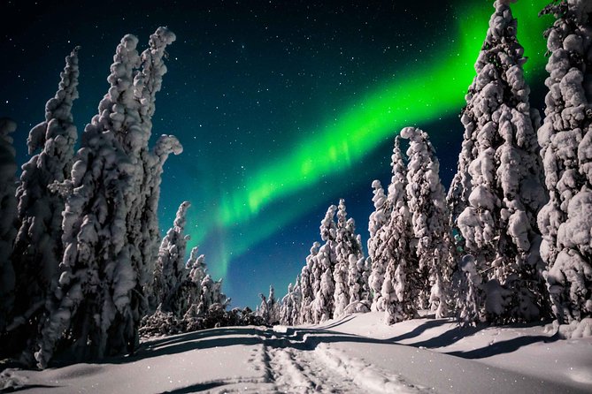 Private Northern Lights Photography Tour in Rovaniemi - Capturing the Northern Lights