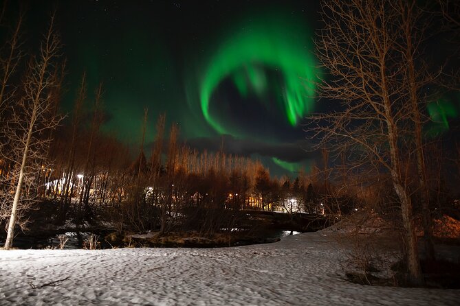 Private Northern Lights Tour From Husavik - Return to Meeting Point