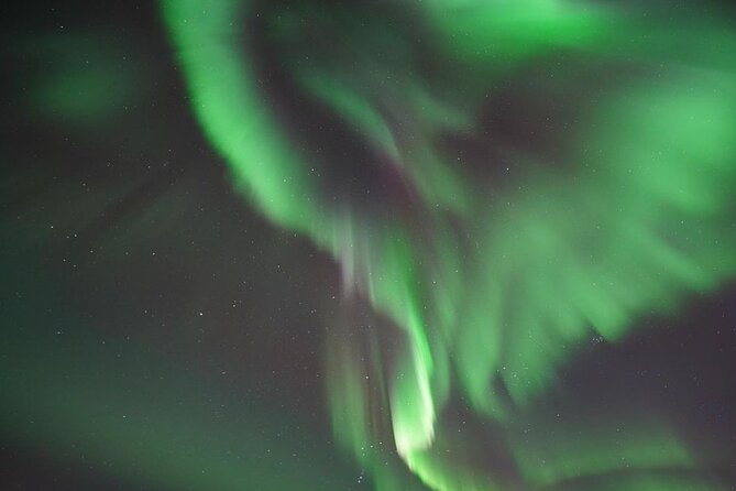 Private Northern Lights Tour With Hot Chocolate in Iceland - Review Summary