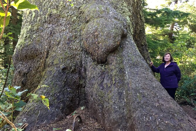 Private Northern Oregon Coast Day Trip - Accessibility and Policies