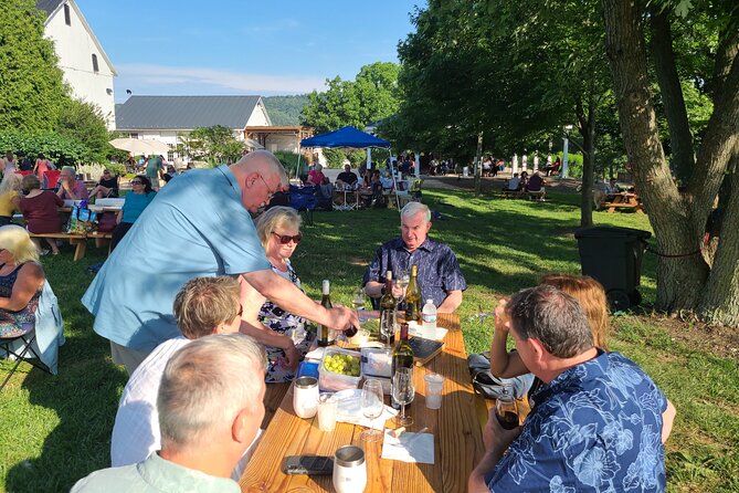 Private Northern Virginia Wine Tours - Key Points