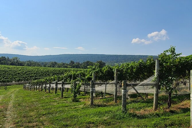 Private Northern Virginia Wine Tours - Customization and Flexibility