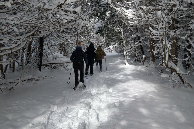 Private Nottawasaga Bluffs Caves Snowshoe, Collingwood/Creemore - Guide Information