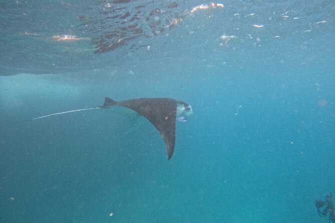 PRIVATE Nusa Penida on Boat Snorkeling & Island Tour (INCLUSIVE) - Inclusions