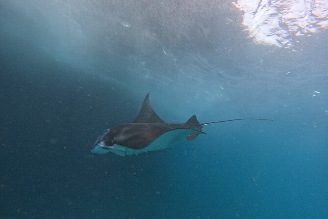PRIVATE Nusa Penida on Boat Snorkeling & Island Tour (INCLUSIVE) - Snorkeling Experience