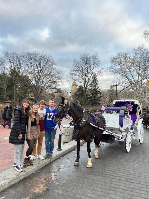 Private NYC Lights or Christmas Lights Horse Carriage Tour - Key Points