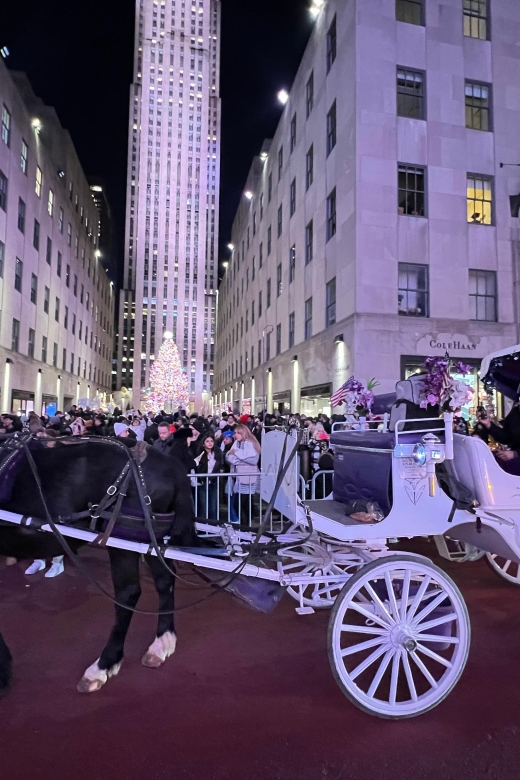Private NYC Lights or Christmas Lights Horse Carriage Tour - Itinerary and Highlights