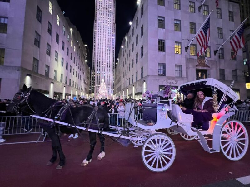 Private NYC Lights or Christmas Lights Horse Carriage Tour - Included Features