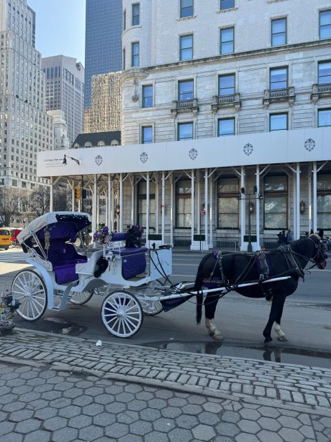 Private NYC Lights or Christmas Lights Horse Carriage Tour - Customer Reviews
