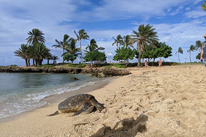 Private Oahu Circle Island Tour - Oahus Highlights