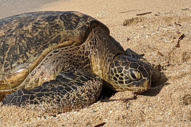 Private Oahu Circle Island Tour - Tour Itinerary