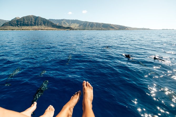 Private Oahu Sunset Charter With Tasting and Drinks - Passenger Capacity