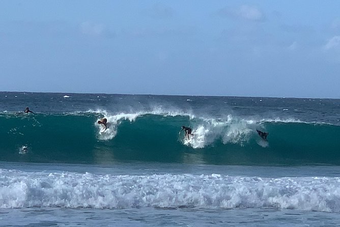 Private Oahu Tour | Up to 14 People | Beaches, Food & Aloha - Key Points