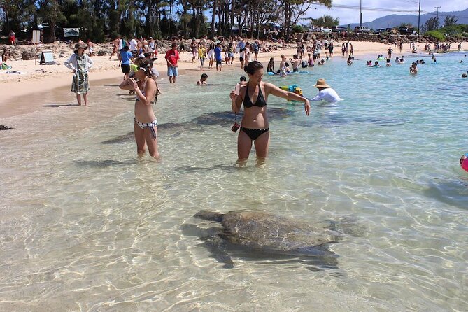 Private Oahu Ultimate Circle Island Tour Up To 14 Passengers - Included Experiences