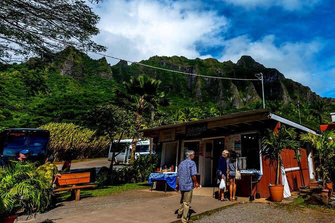 Private Oahu Ultimate Circle Island Tour Up To 14 Passengers - Review Highlights