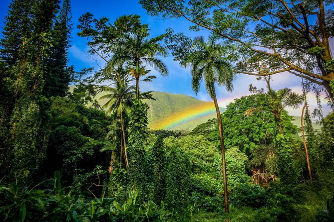 Private Oahu Van Tour - Convenient Transportation