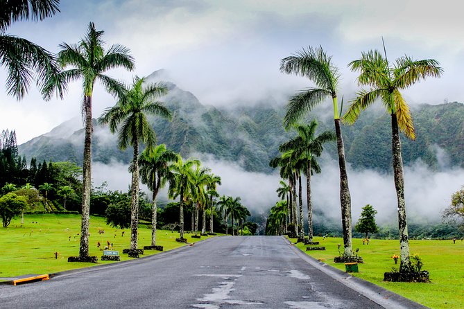 Private Oahu Van Tour - Accessibility and Physical Requirements