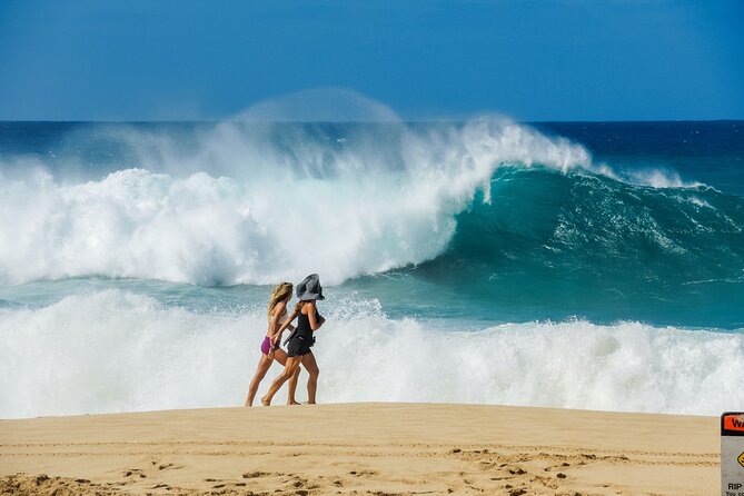 Private Oahu World-Famous North Shore Tour From Honolulu - Surfing Mecca Exploration