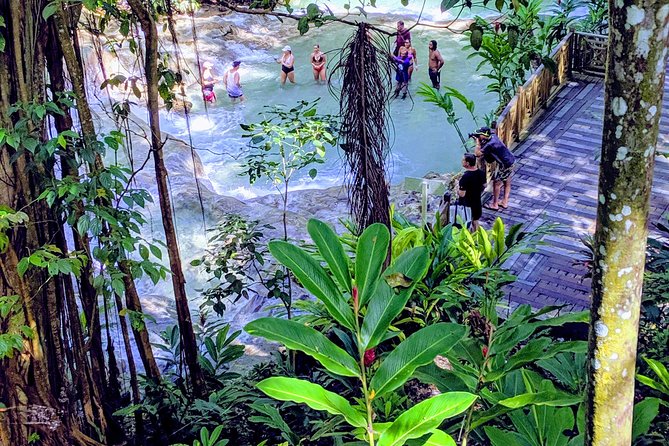 Private Ocho Rios Highlight Tour - Traveler Feedback
