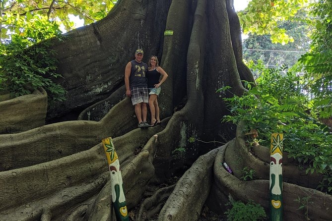 Private Ocho Rios Highlight Tour - Dunns River Falls