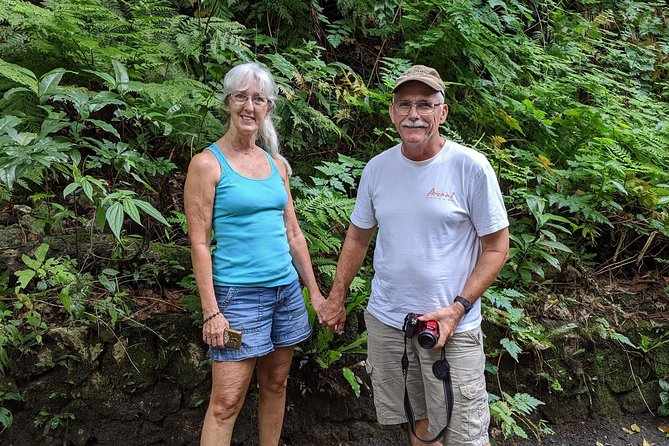 Private Ocho Rios Highlight Tour - Fern Gully