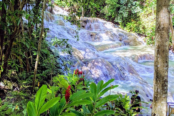 Private Ocho Rios Highlight Tour - Ocho Rios Highlights