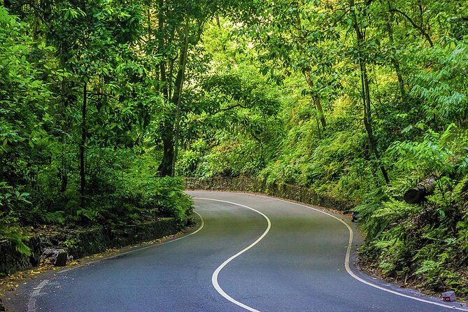 Private Ocho Rios Tour With Dunns River Falls and Lunch - Dunns River Falls Adventure